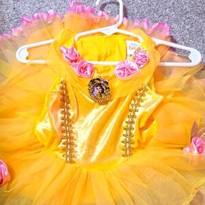 princess costume
